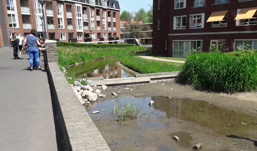 (foto: Joop Verstraaten)