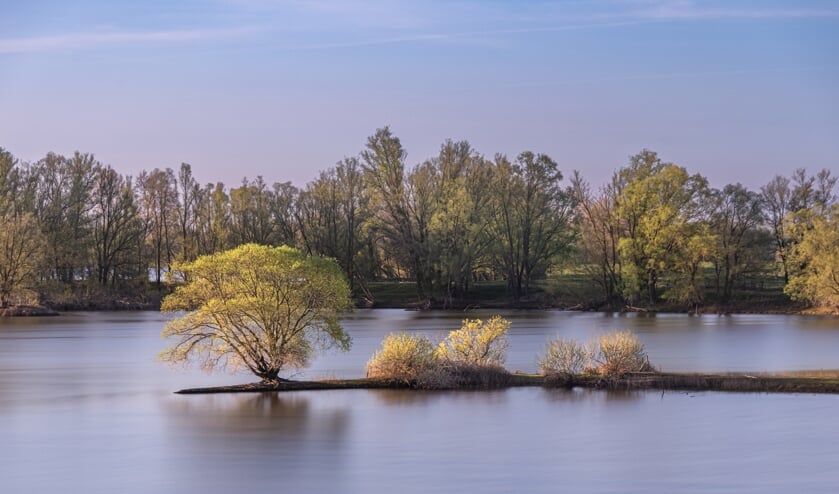 Gendtse polder. (foto: Jack van Dalen)