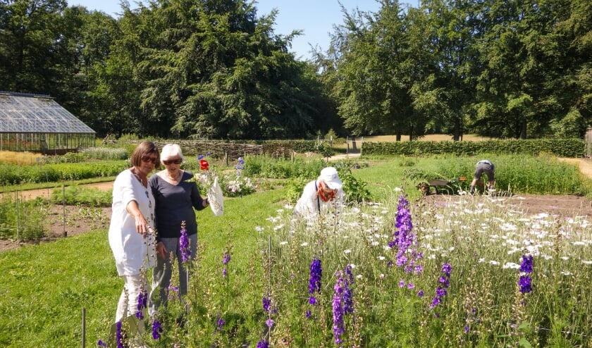 Bloementuin Zelfgeplukt. (foto: Natuurmonumenten)