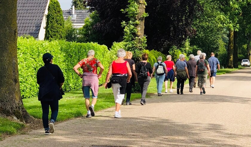 Tijdens een vrijdagochtendwandeling. (foto: Wilko)