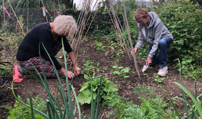 Vrijwilligers Elly en Wil aan het werk in De Tuin van Landerij De Park. (foto: Imker.fotografie)