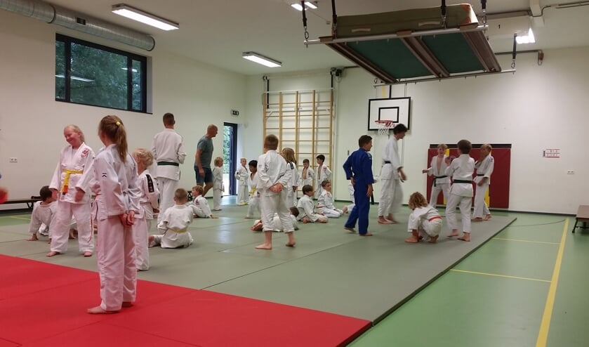 Spelletjestraining judo op 10 juli. (foto: Judovereniging Groesbeek)