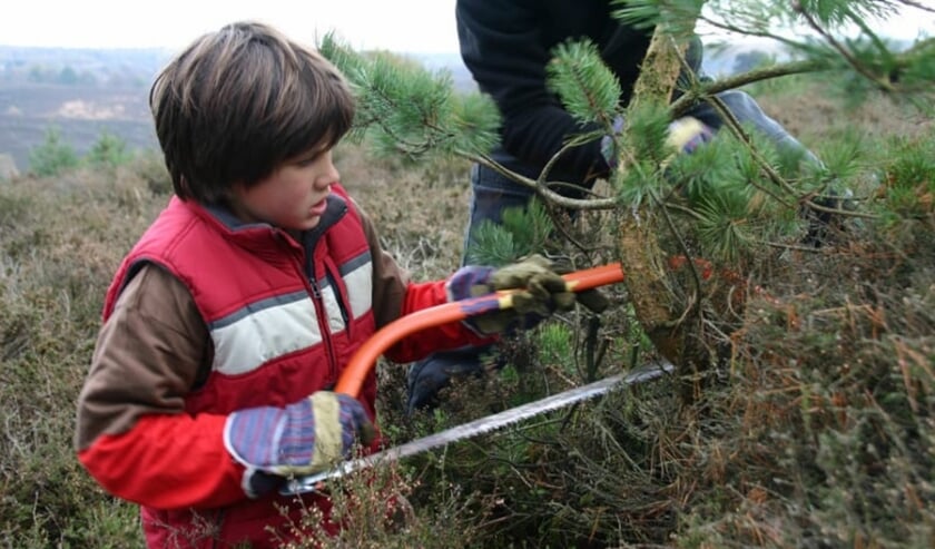 Help de boswachter. (foto: Natuurmonumenten)