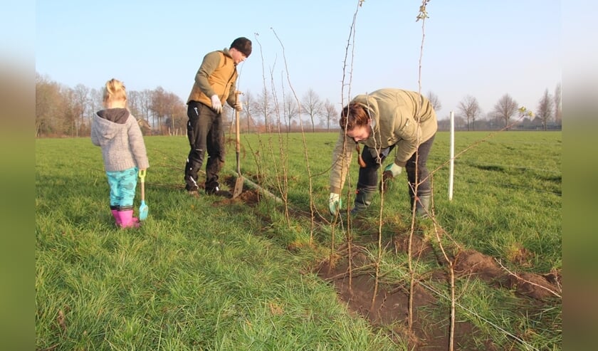 Planten van haag. (foto: SLG)