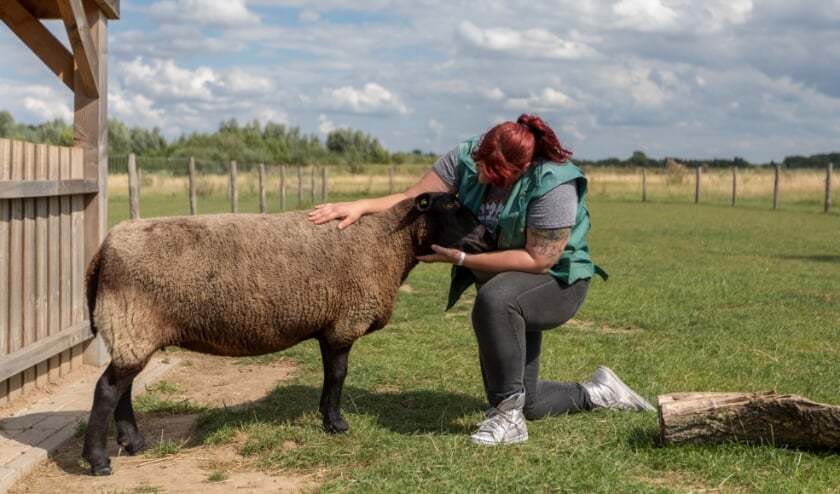 Dierverzorger aan het werk bij Landerij De Park. (foto: Reverse Pixel Photography)