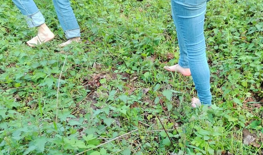 Blotevoetenwandelaars. (foto: De Bastei)