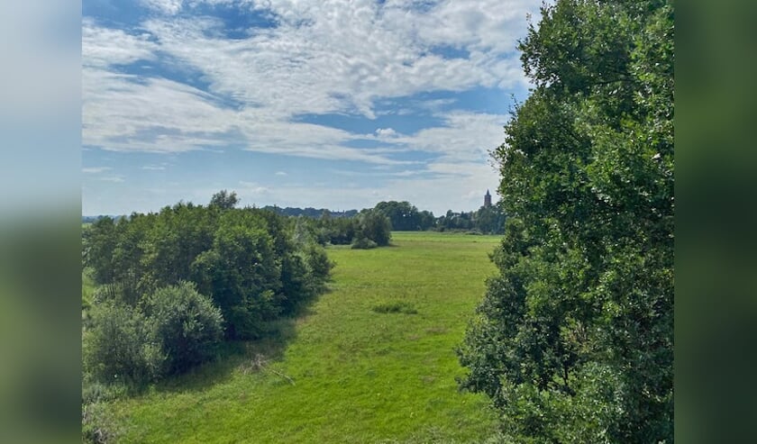 Het Amerongse Bos. (foto: Bram Blom)