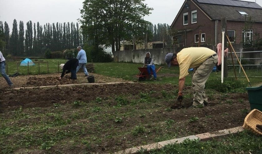 Moestuin Ooij.