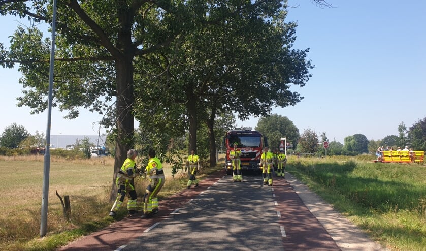 Brandweerlieden trekken tak los. (foto: Waldie Rutten)