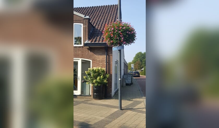 Hanging basket. (foto: Mia Volkers)