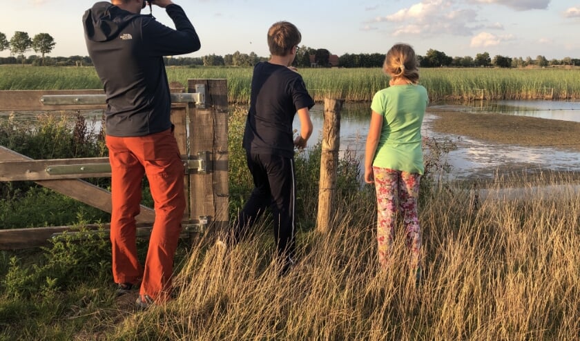 Natuur kijken in Park Lingezegen. (foto: Imker.fotografie)