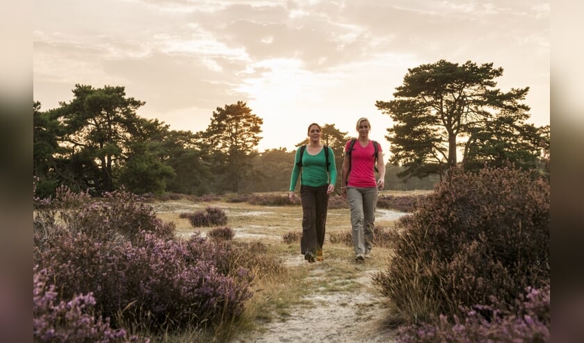 Wandeling Rijk van Nijmegen. (foto: Natuurmonumenten-Janko van Beek)