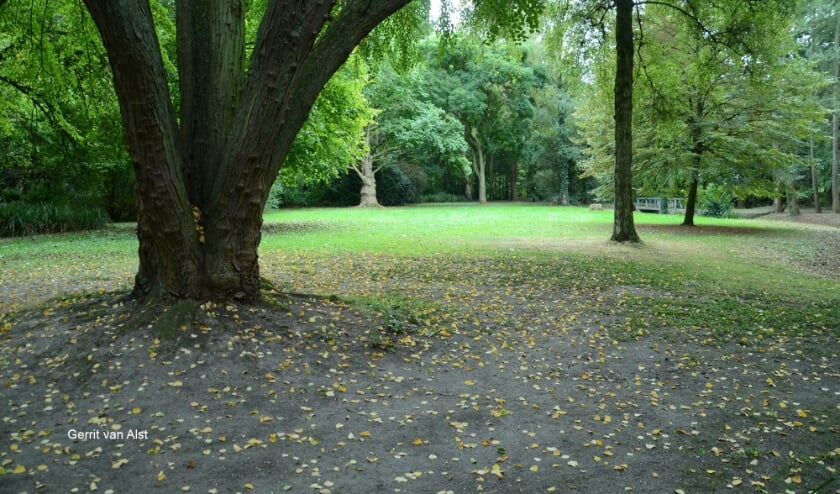 Grasveld Gimbornhof. (foto: Gerrit van Alst)