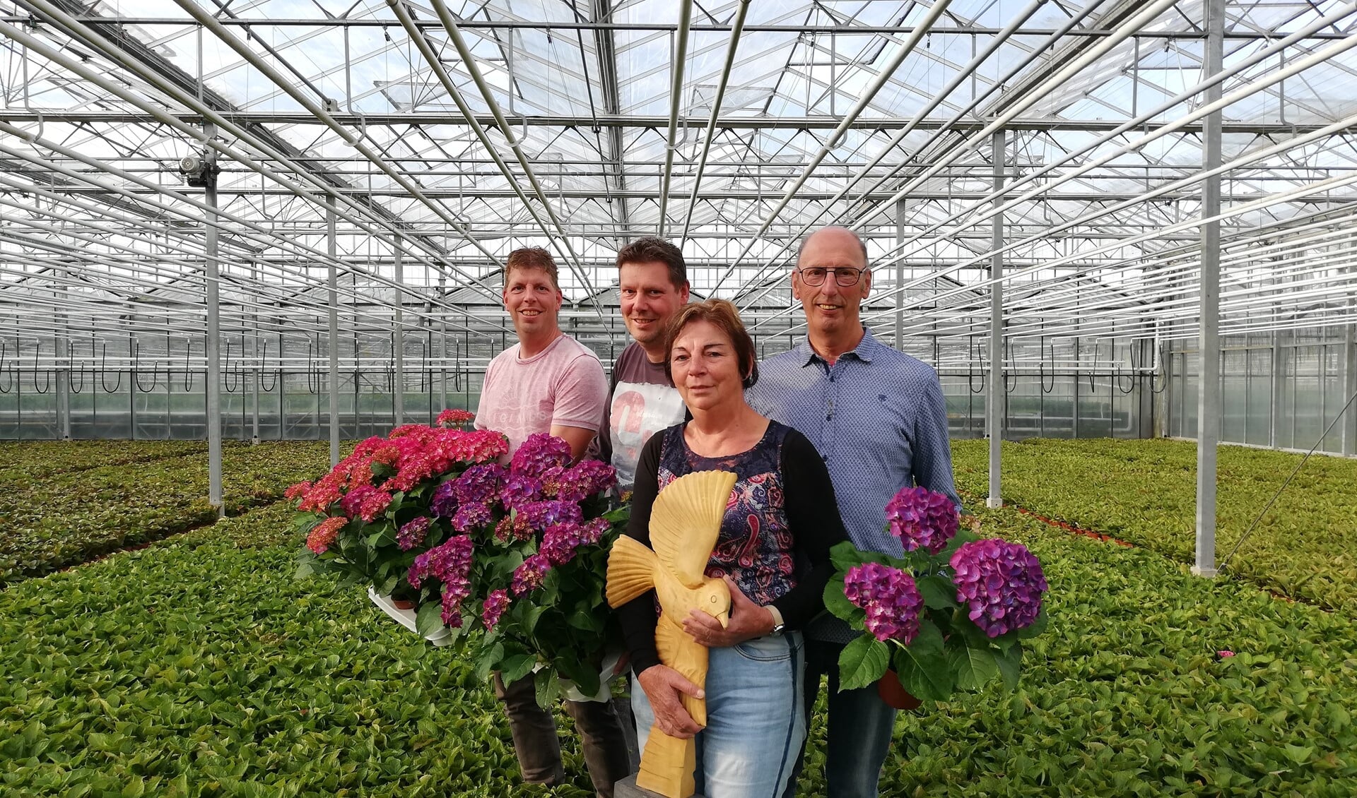 Familie Van Tilburg: 'De hortensia is een dankbare en populaire plant.' (Foto: Kyra Sannes)
