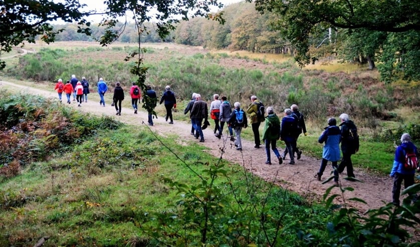 <p>Genieten van bos en hei. (foto: Toon Hendriksen)</p>