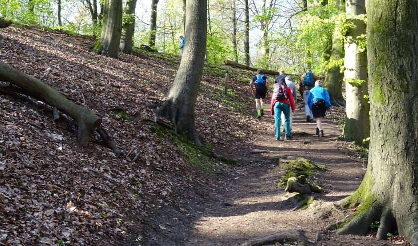 <p>Duivelsberg Berg en Dal.</p>