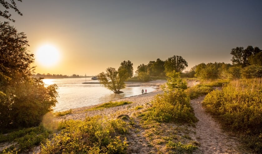 <p>Wandelen langs de Waal.</p>