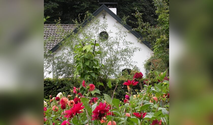 <p>Dalia's Landgoed den Treek. </p>