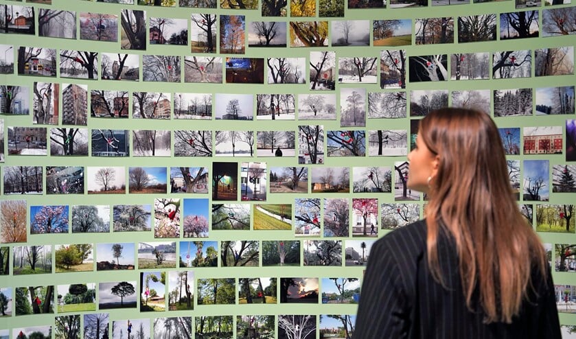 Collage van bomen.