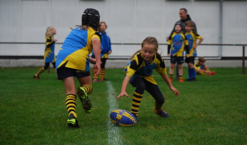 <p>Rugbytraining warming-up. (foto: Edwin van den Broek)</p>