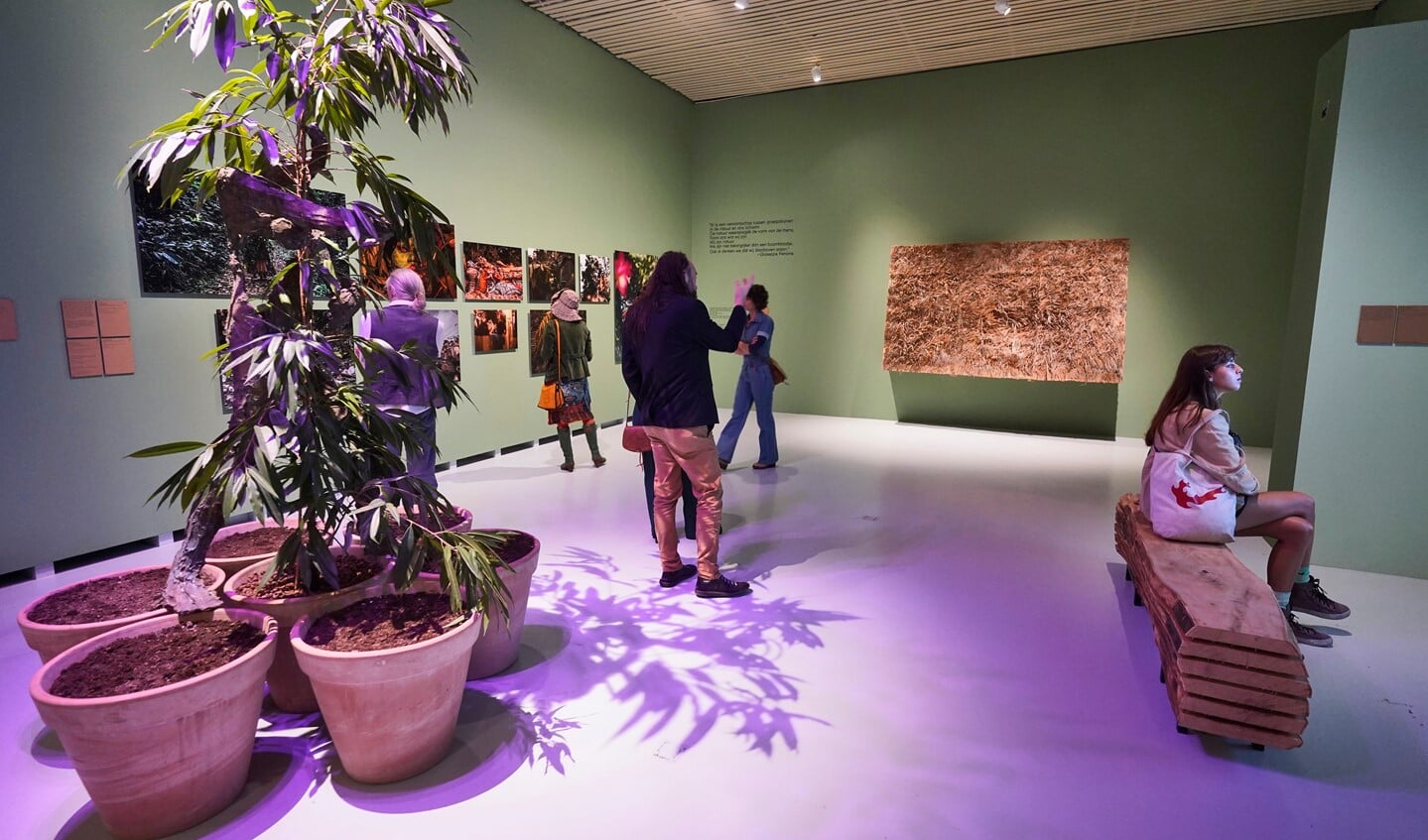 De tentoonstelling Rettet den Wald!, Red het bos! in Museum Het Valkhof.
