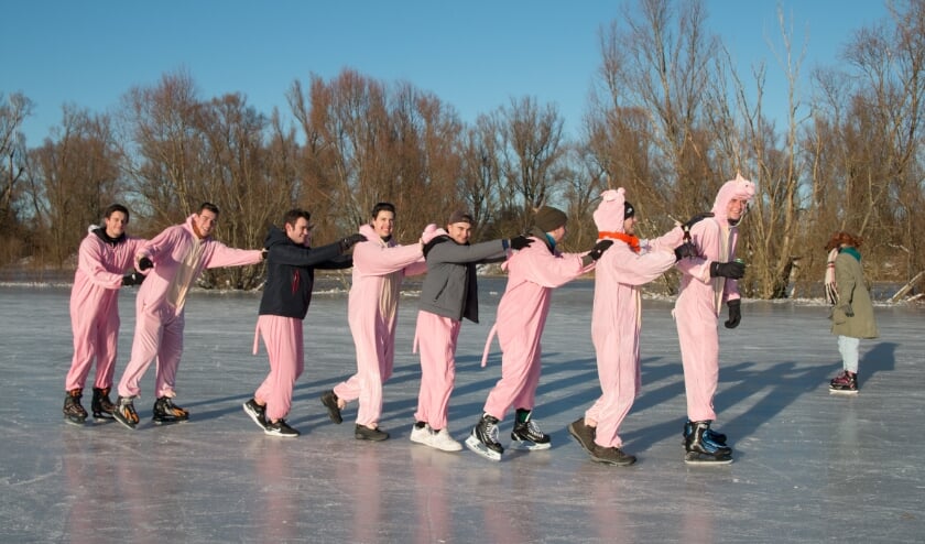 <p>Polonaise in varkenspakken op de bevroren uiterwaarden van Angeren. (foto: Yvonne van Hoorn)</p>