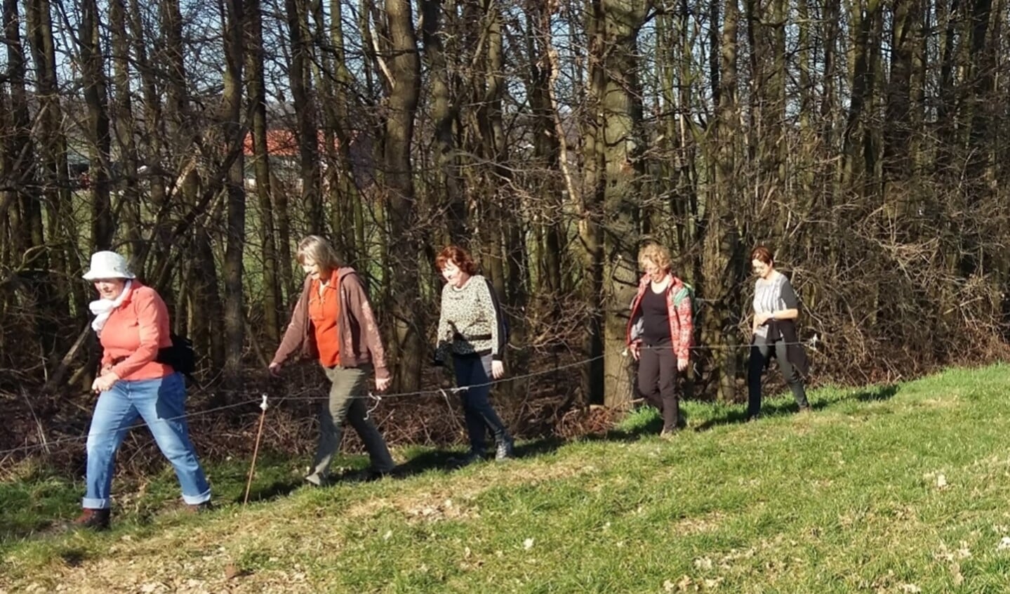Elke week samen in een groep een mooie wandeling maken in de prachtige omgeving van Nijmegen. (Foto: Gerrit Jan Griepsma)