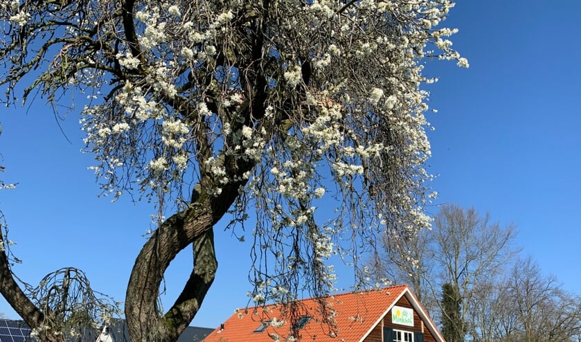 <p>De Minkhof Beleef- en ontmoetingsplaats voor senioren.</p>
