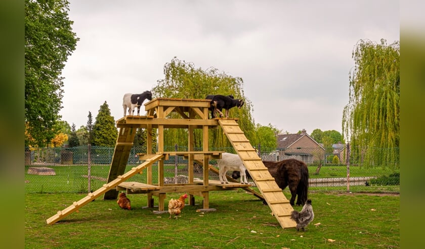 <p>Speelhout voor dieren. (foto: Herman Hendriks)</p>