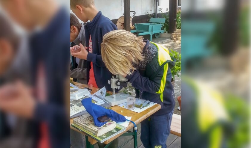 <p>Jonge onderzoeker. (foto: Polderbende IVN RijnWaal)</p>