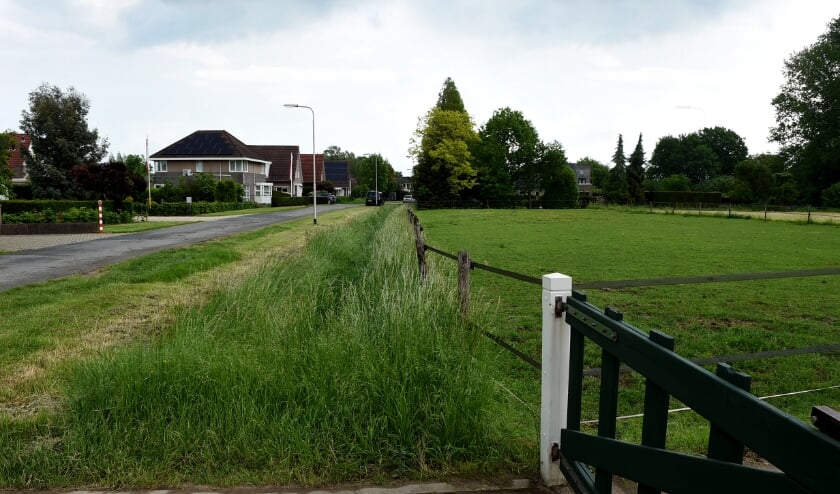 <p>(foto: Sjaak Veldkamp)</p>