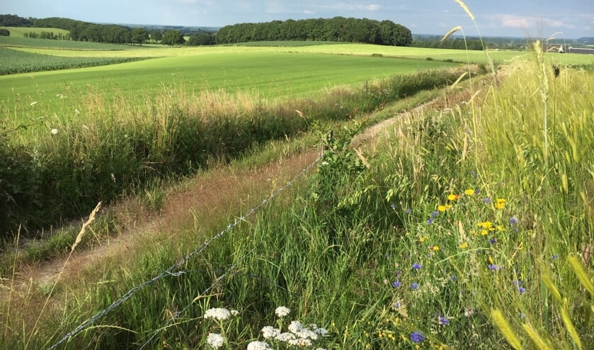 <p>Nederrijk. (foto: Peter Pouwels)</p>