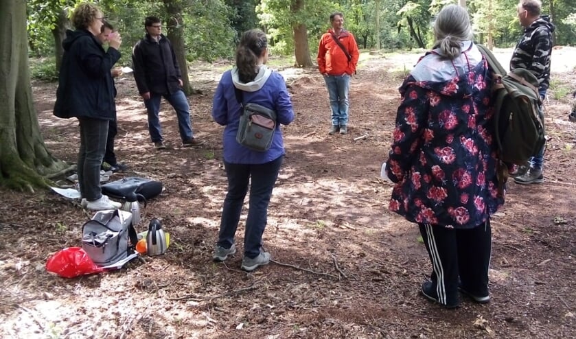 <p>Walk&Talk in het bos onder leiding van Jos Roukema. (foto: Eline van Berkum)</p>