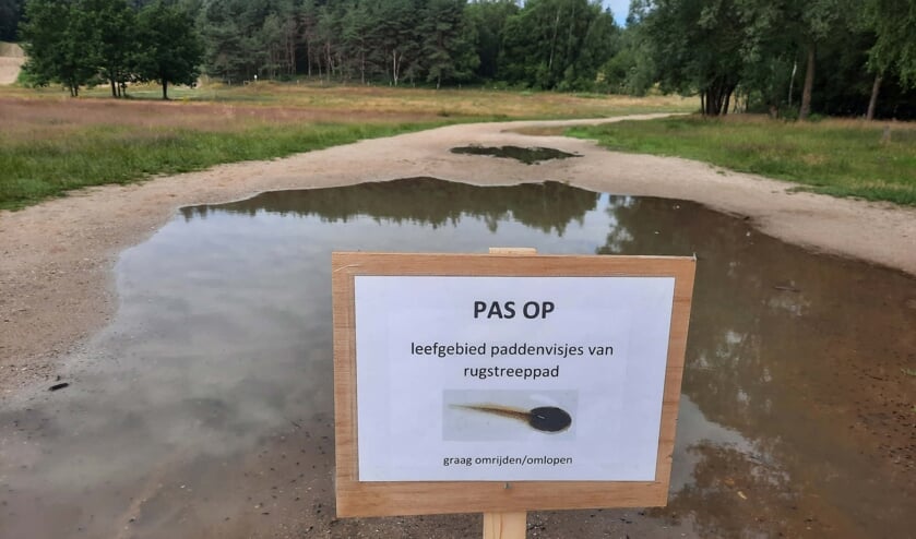 <p>Weg tijdelijk in gebruik door rugstreeppadden als voortplantingsgebied. (foto: Han Runhaar/Natuurwerkgroep Kwintelooijen)</p>