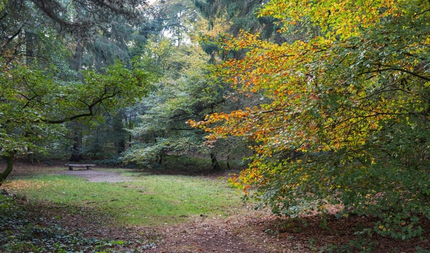 <p>Heerlijkheid Beek-Avondwandeling landgoed Beek. (foto: Ton Rothengatter)</p>