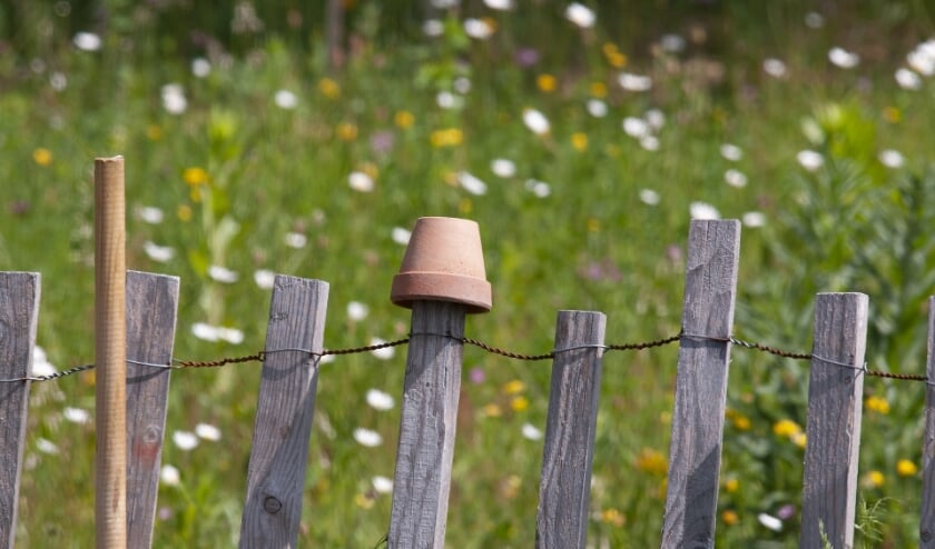 <p>Een leuke en gezellige zomer… Ook voor je buren?! (foto: David Seifert via Pixabay)</p>