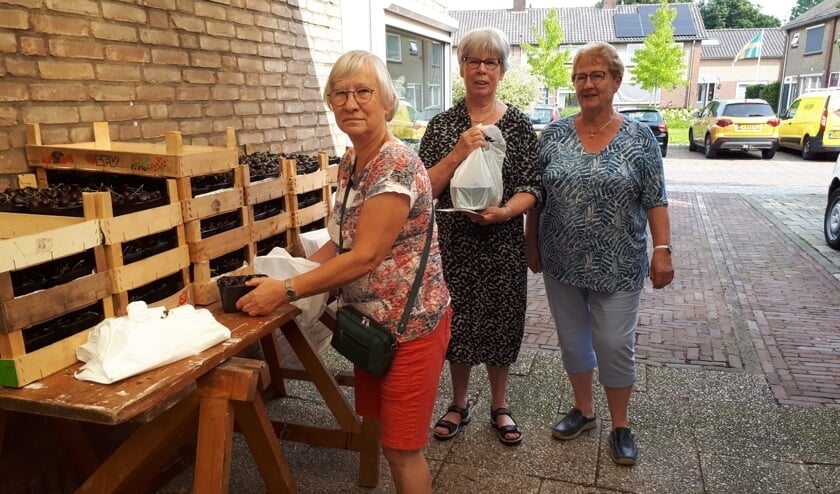 <p>De meer dan 150 bakjes met kersen staan klaar voor verzending. (foto: De Zonnebloem Elst)</p>