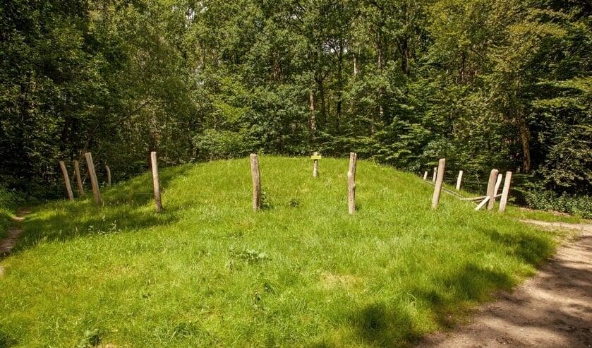 <p>Grafheuvel. (foto: Jan de Jong)</p>
