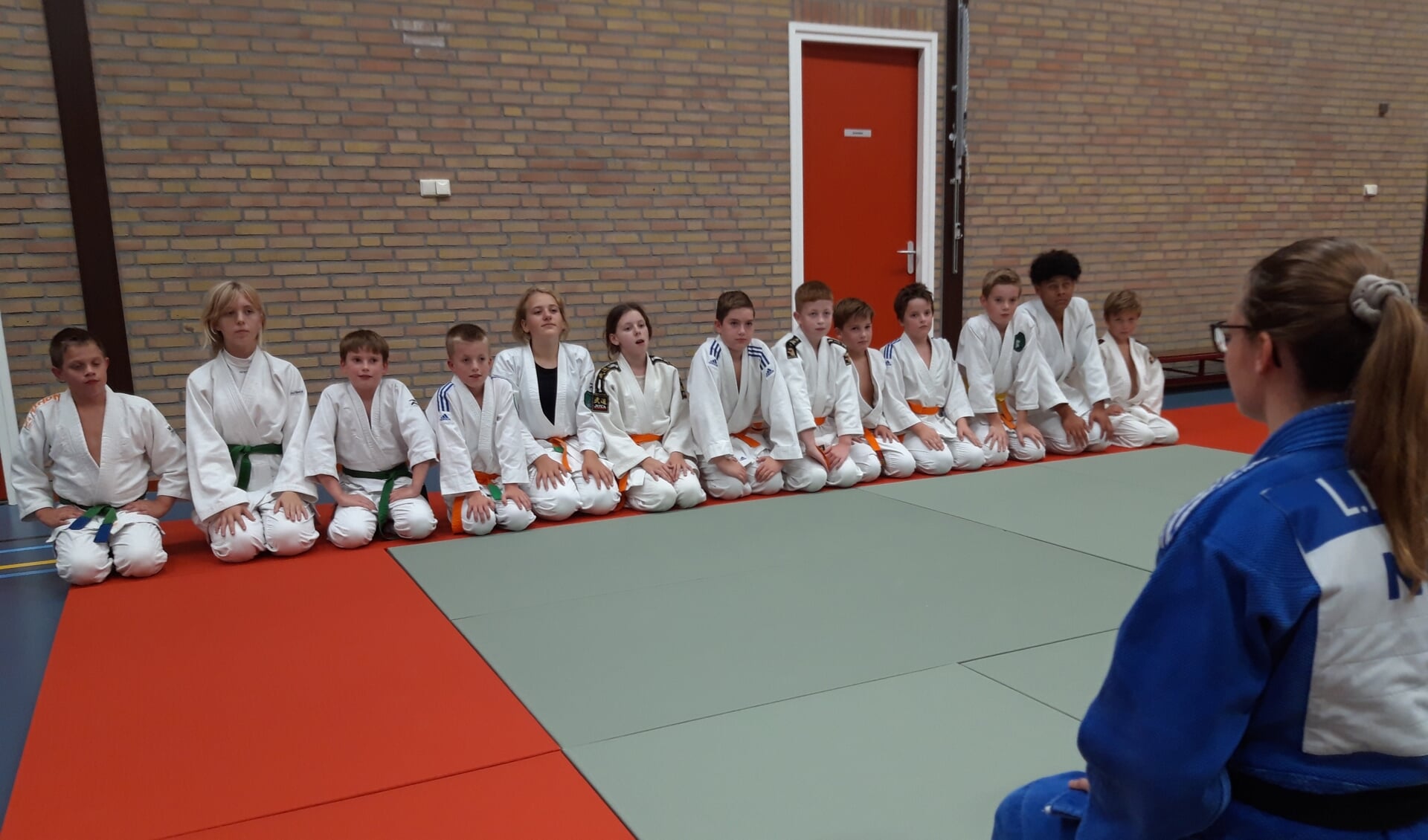 Judoka's tijdens de training. (foto: Judovereniging Angeren)