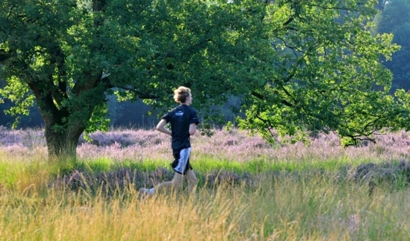 Trailrunning