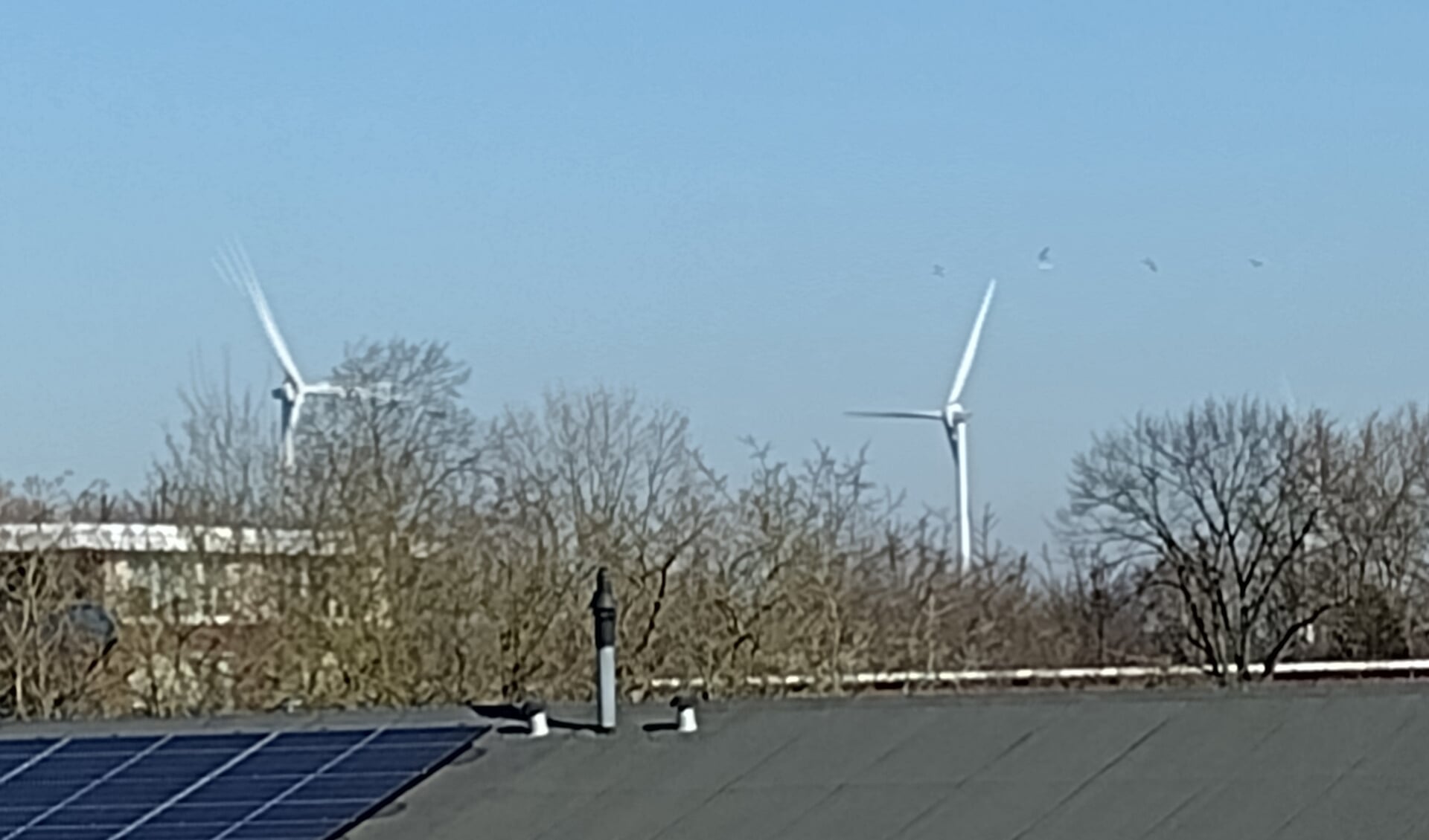 Windmolens op de Pleij gezien vanaf Huissen.