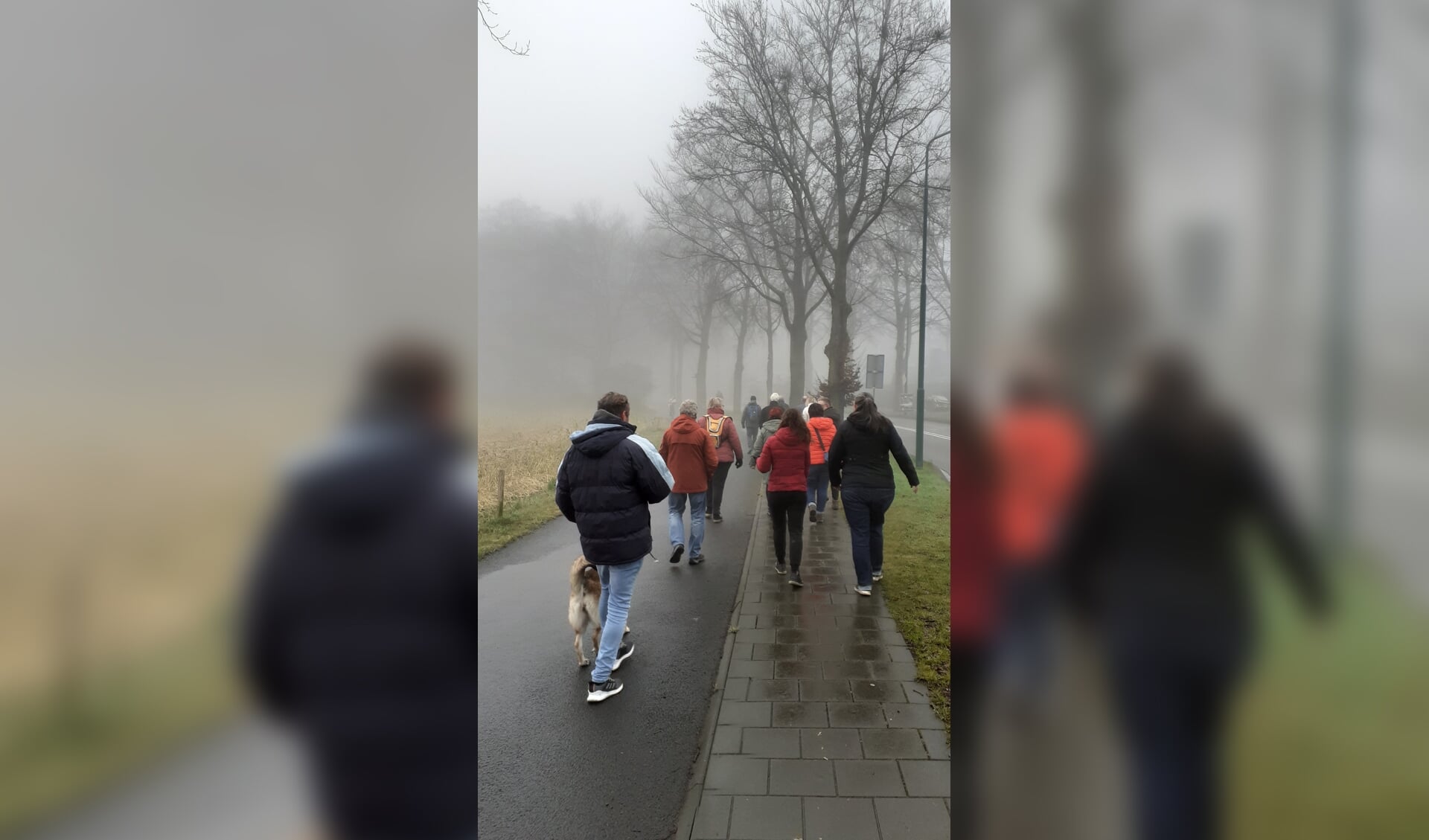 Met een groep wandelen in Rhenen. (foto: Welzijn Rivierstroom)