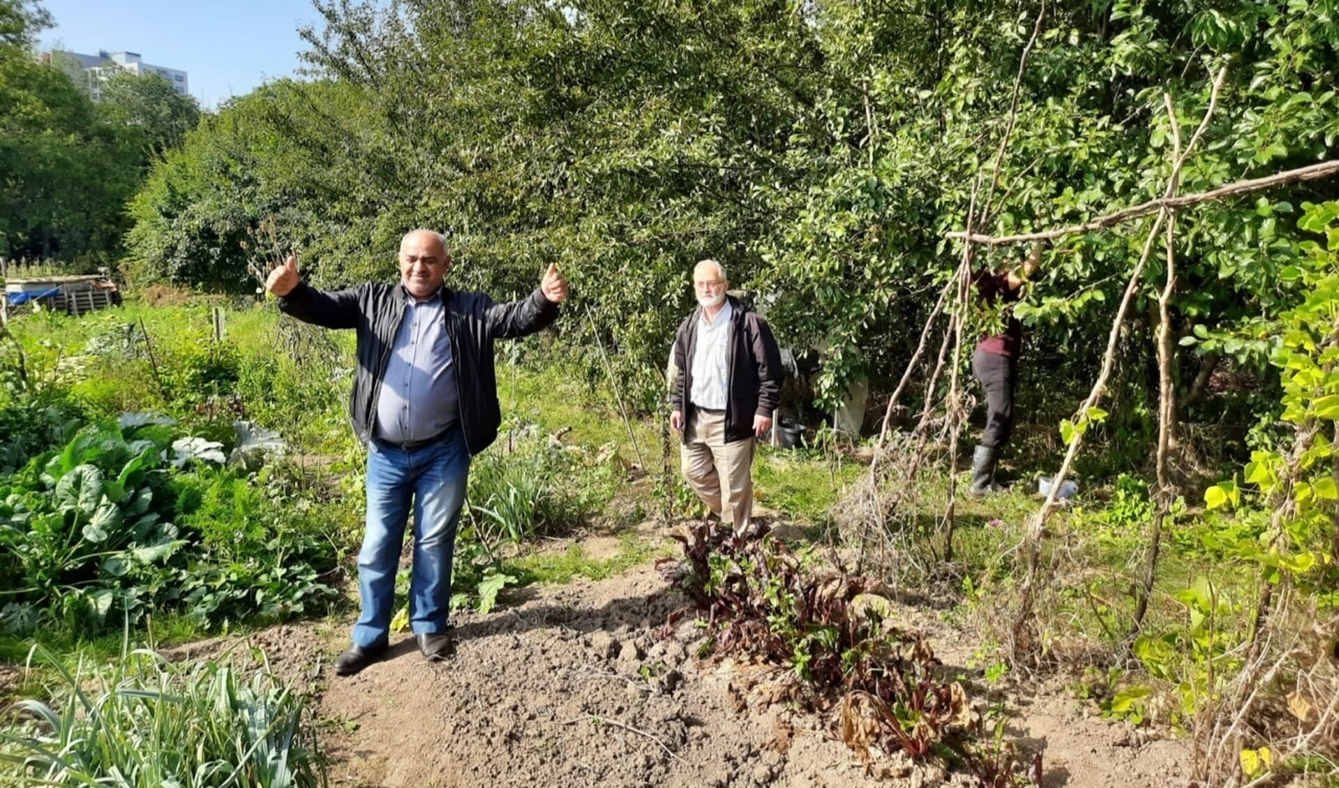 Deelnemers aan project ‘Deel de tuin met oudere migranten’.
