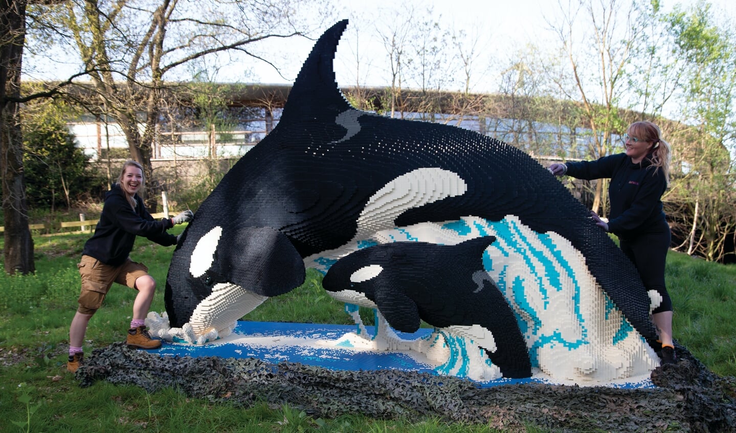 Het zwaarste en grootste dierfiguur: orka met jong (4,1 meter lang, 1115 kilo, 223.259 steentjes). 