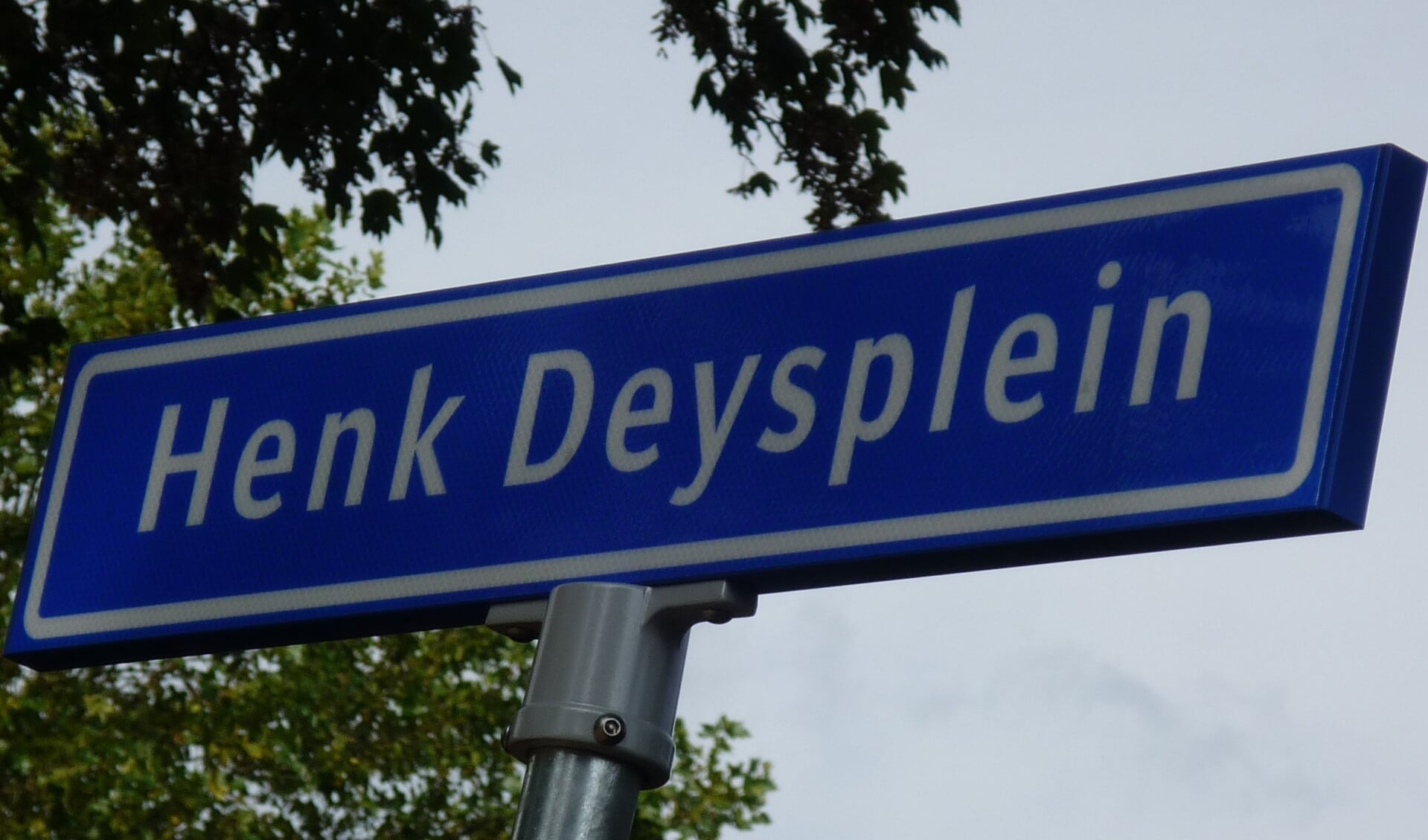Het plein vernoemd naar Henk Deys, vanwege zijn belangrijk werk, de beschrijving van de geschiedenis van Rhenen. 