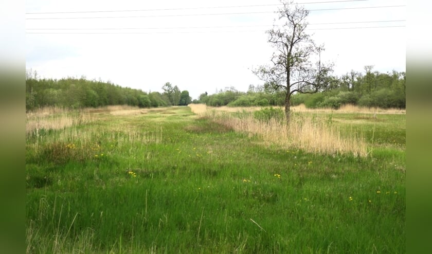 <p>Natuurgebied De Blauwe Hel.</p>