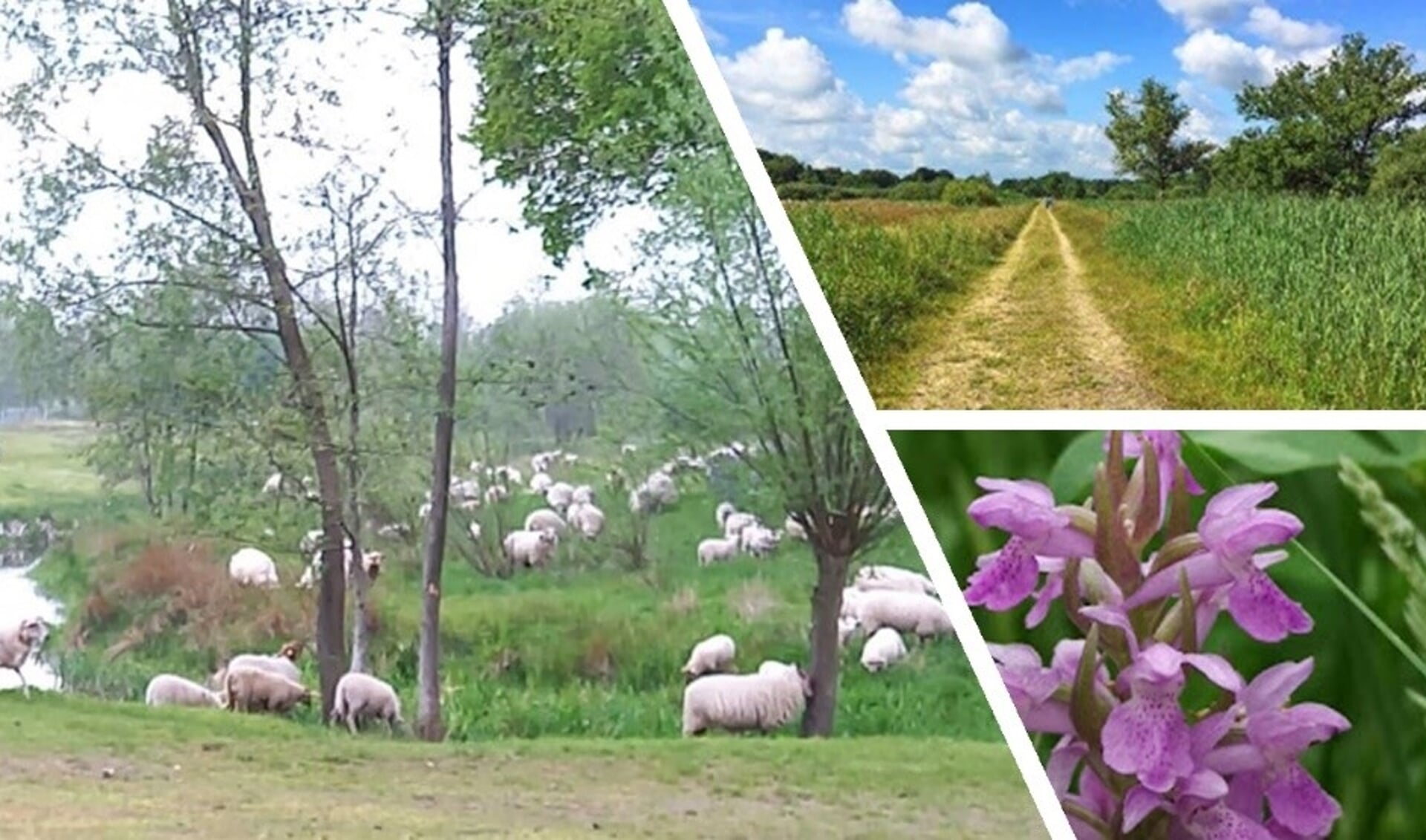 Overzichtje van de prachtige natuur in Groesbeek. 