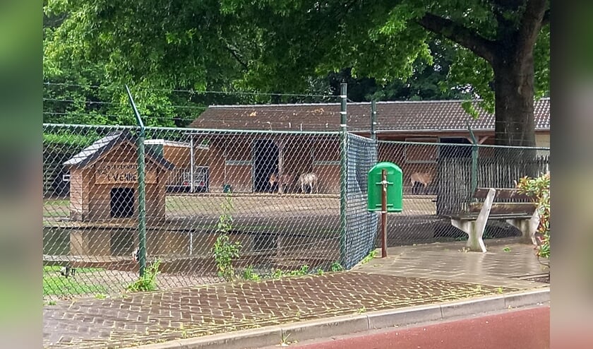<p>De dieren zijn weer met elkaar herenigd. </p>