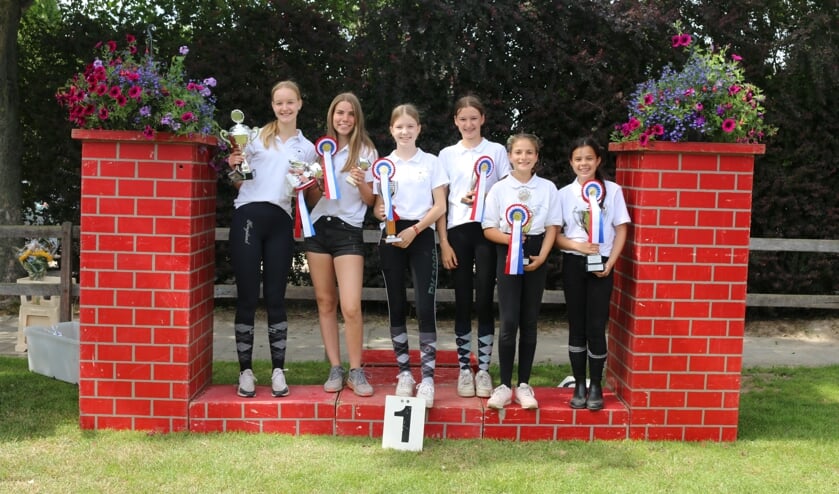 <p>De clubkampioenen. Van links naar rechts: Brechje Thannhauser Groep 5Anouk van der Heijden Groep 4, Jolie van de Pol Groep 6, Eveline van Wichen Groep 3, Lynn van Driel Groep 2, Ceana Leiwakabessy Groep 1. </p>