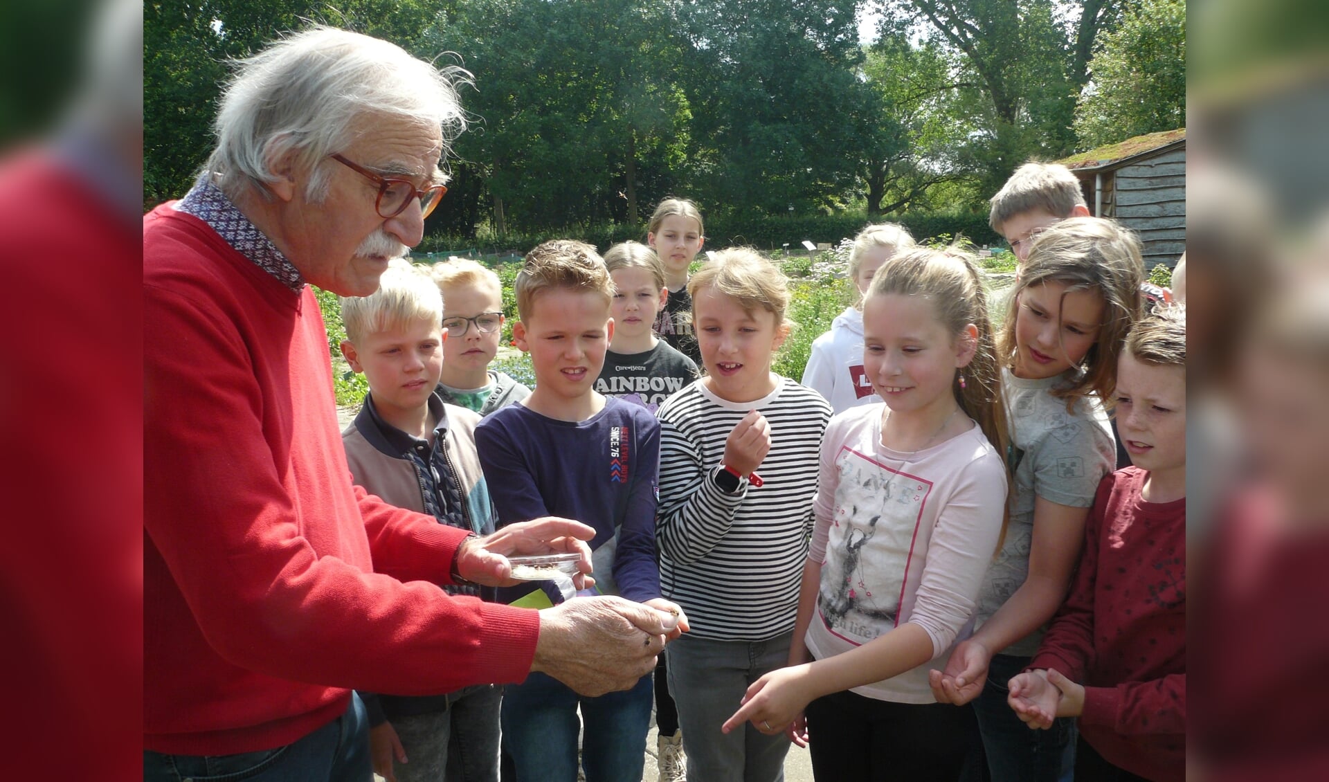 Joop Dahm laat de kinderen wilde bijen zien. 